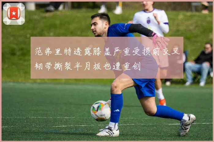 范弗里特透露膝盖严重受损前交叉韧带撕裂半月板也遭重创